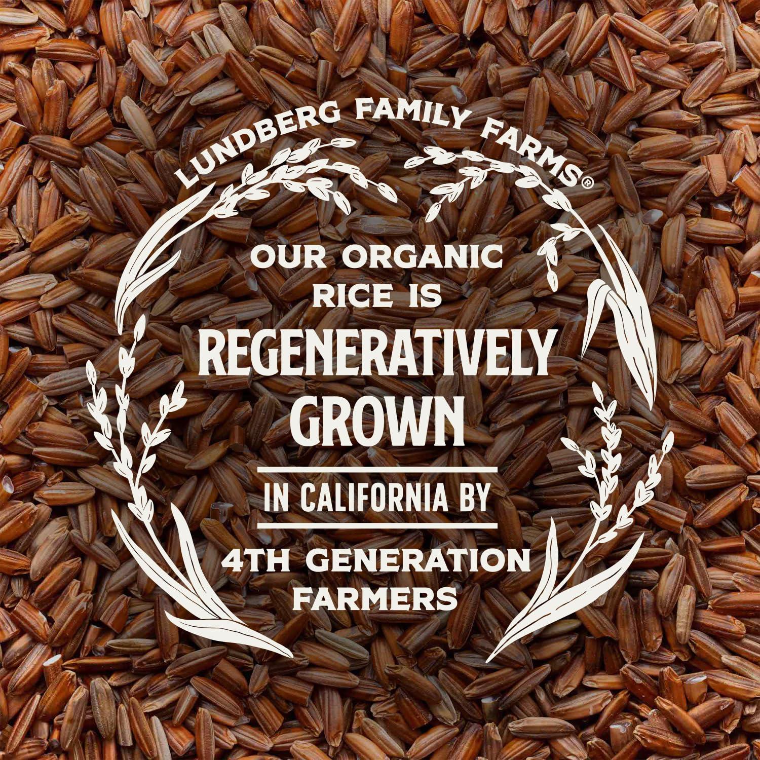 image:imageLundberg Organic Red Jasmine Rice Long Grain Red Rice NonSticky Fluffy Aromatic Rice Organically Grown in California Pantry Staples 16 Oz1 Pound Pack of 6