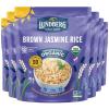 Jasmine 6-Pack